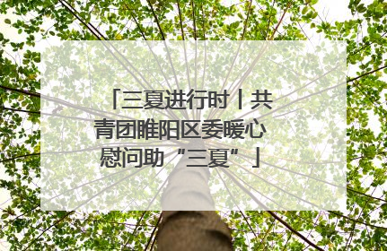 三夏进行时丨共青团睢阳区委暖心慰问助“三夏”
